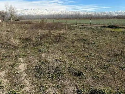 Terreno en Venta de 2000,0 m2