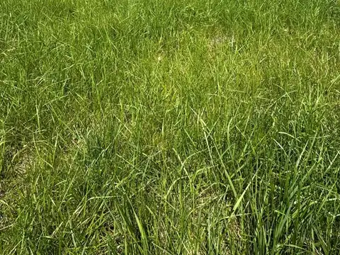 Terreno Lote  en Venta en Parque Exaltación, Exaltación de la Cruz, G.B.A. Zona Norte