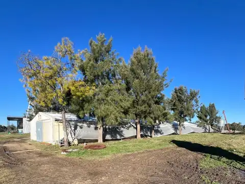 Venta Granja Avícola en campo de 3 Has la Floresta