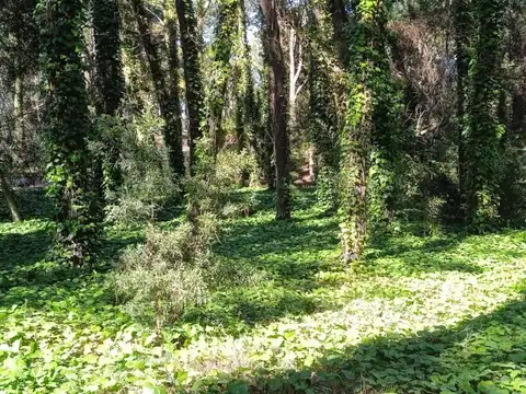 Terreno - Venta - Argentina, Mar de las Pampas