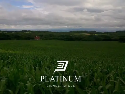 Finca la oración 100 has en Rosario de la Frontera