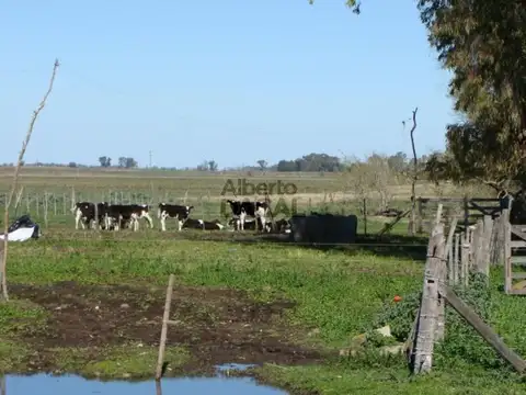 Campo en Venta en Arditi Magdalena - Alberto Dacal Propiedades