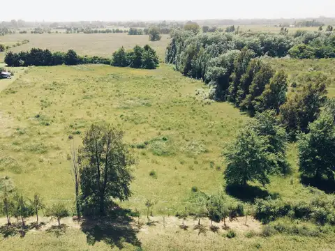 Terreno en Venta de 11700,0 m2