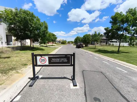 Puertos del Lago, Araucarias.