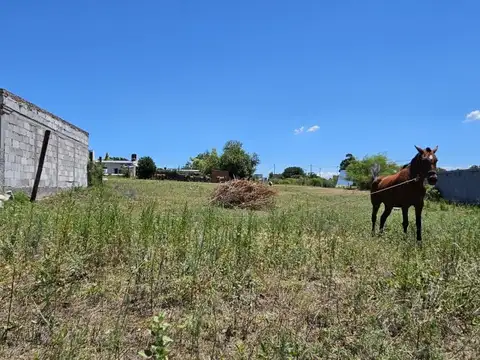 Terreno en Venta en Victoria, USD 12.500