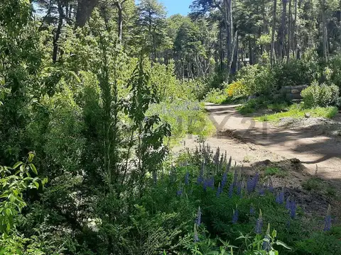 Terreno en Venta en Villa La Angostura, USD 145.000