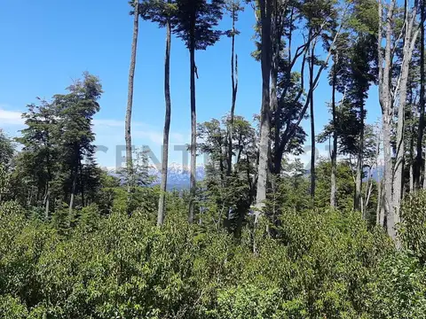 Terreno en Venta de 3760,0 m2