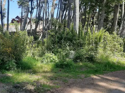 Venta lote Villa La Angostura.