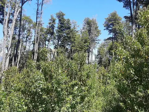 Terreno en Venta de 3760,0 m2