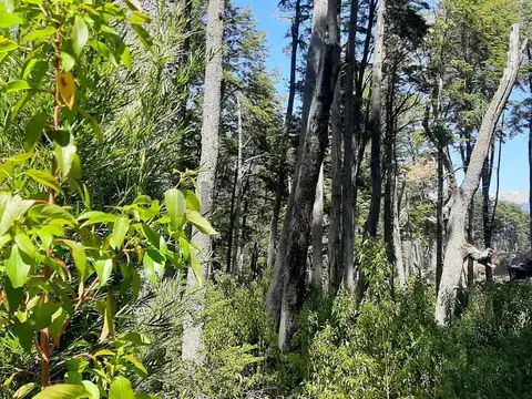 Terreno en Venta en Villa La Angostura, USD 145.000