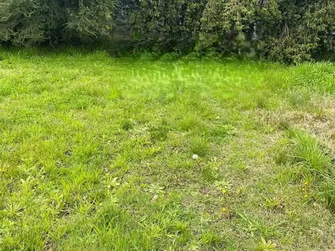 Avenida Juan Manuel de Rosas 2200