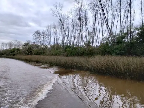 Carapachay, Zona Delta, Tigre, G.B.A. Zona Norte, Argentina
