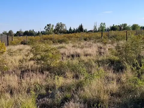 Terreno en Venta en Lujan De Cuyo, USD 5.500