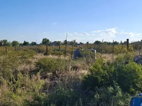 Los Retamos Oeste 100