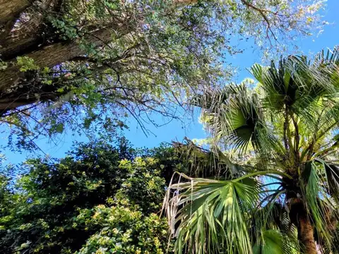 BOMBEROS VOLUNTARIOS Y ESTENSSORO 1500