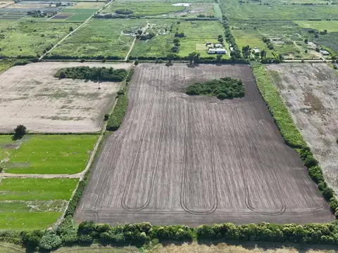 VENTA Campo 11 Has agrícolas - Pérez