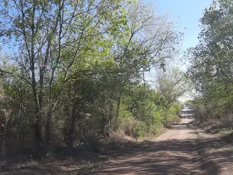 Terreno en Venta 39  mts Fondo