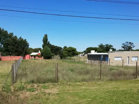 TERRENO CALLE PATO ARGENTINO - TOAY