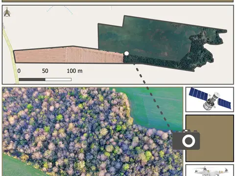 Campo en Venta de 39  ha