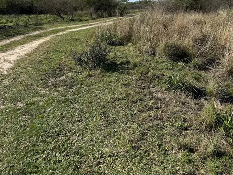 5 Ha Entre Rutas 11 Y 16