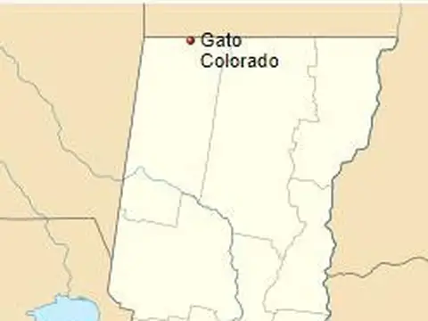 Campo - Gato Colorado