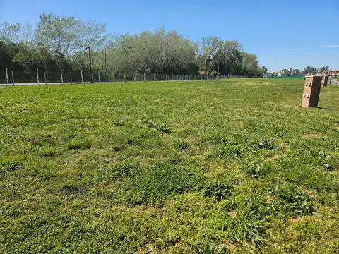 Terreno en Venta de 579,0 m2