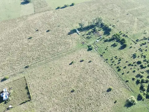 Vendo Campo de 26 Hectáreas en San Justo, Entre Ríos.