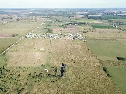 Vendo Campo de 26 Hectáreas en San Justo, Entre Ríos.