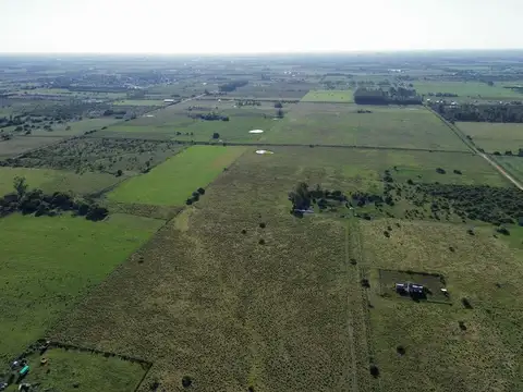 Vendo Campo de 26 Hectáreas en San Justo, Entre Ríos.