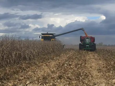 Pje Las Mercedes, pdo de 25 de Mayo.