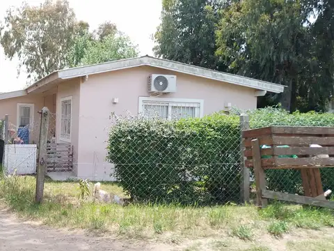 Cod 273 - Canada 1449