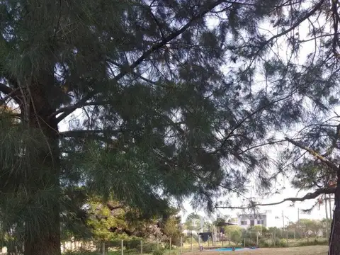 Terreno en Venta de 327,0 m2