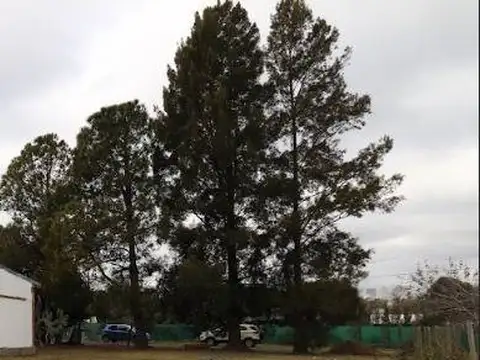 VALLE HERMOSO 100, Piso 0