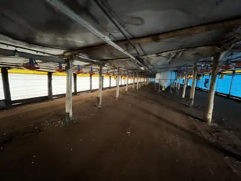 Vendo Granja Avicola con 23 Hectáreas en Caseros, Entre Ríos.