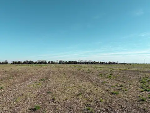 Campo de 38 hectareas en Fighiera con Suelo Clase 1 cerca de la Autopista