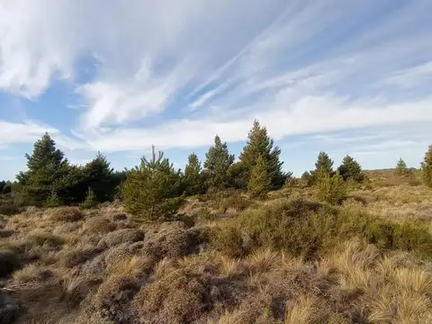 Terreno en Venta 13  mts Frente