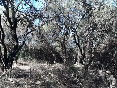 Terreno en Venta en Merlo, USD 30.000