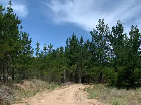 Lote  Northbeach Pinamar