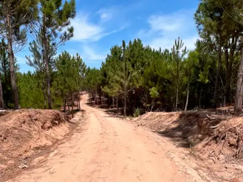 Terreno en  Venta en Northbeach Barrio Santa Mónica