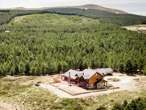 RP23 y RP13 , Piso 0