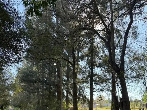 Terreno en Venta de 1000,0 m2