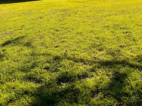 Quinta en Alquiler Temporal de 3 dormitorios