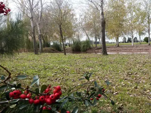 Terreno en Pinares del Sur