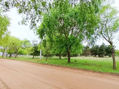 Venta Lote  - Mar de Ajo - Partido de La Costa