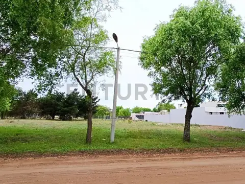 Madariaga entre Cordoba y Candioti , Piso 0