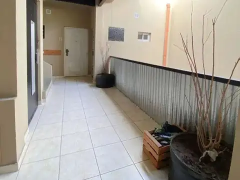 Moisés Lebensohn 500