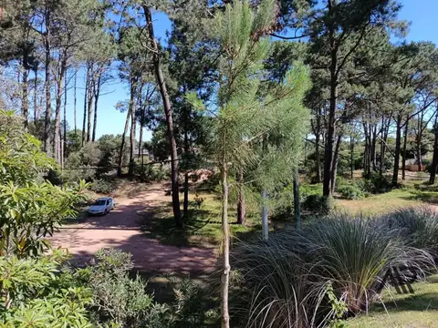 Terreno en Venta 25  mts Fondo