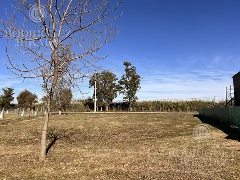 Haras Santa Maria - Molino 700