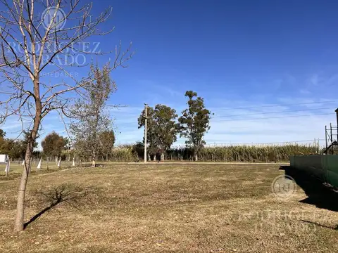 Haras Santa Maria - Molino 700