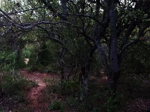 Terreno en Venta de 2500,0 m2